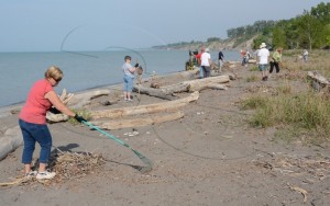 Beach cleanup