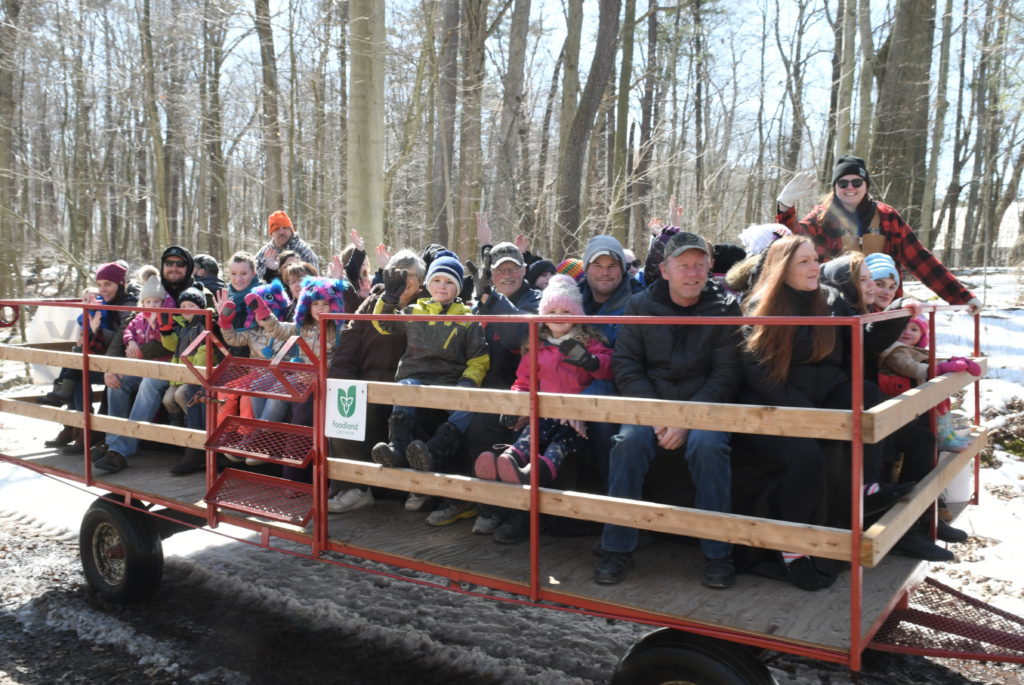 Sunny Weather Suits Springwater Syrup Festival The Aylmer Express