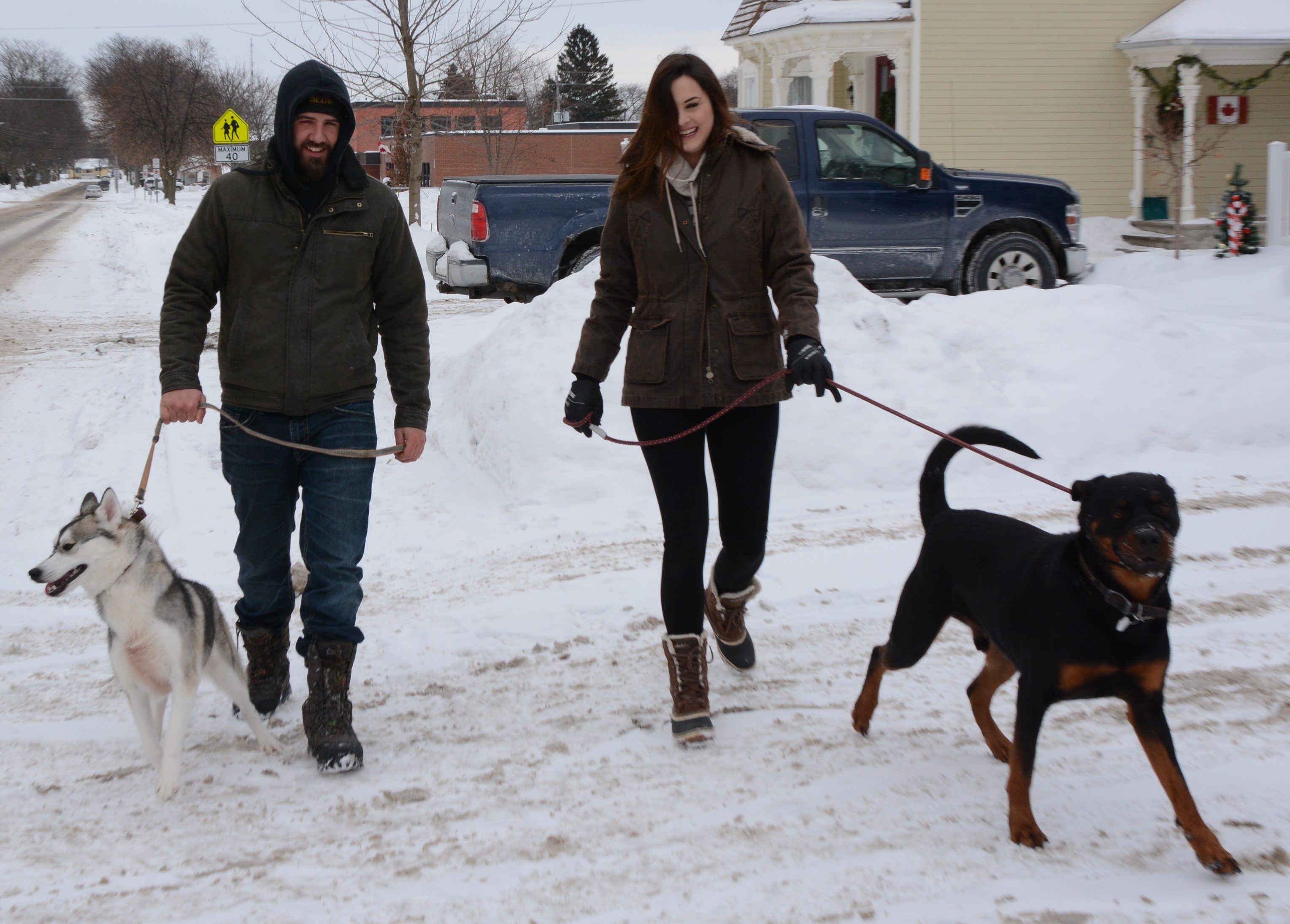 dogwalking