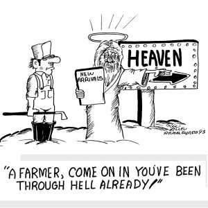 Featured image for "Farm Archives"