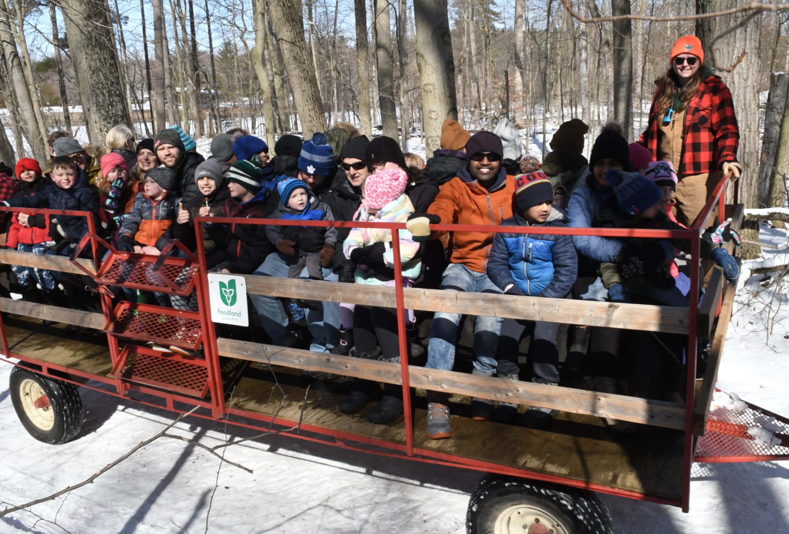 Featured image for "Touring the forest at Springwater syrup festival"